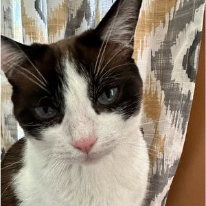 Meet your Posher, Mar 🌸